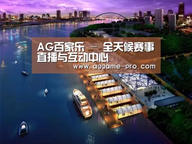 案例展示八