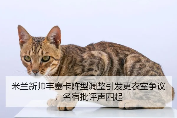 mi-lan-xin-shuai-feng-sai-ka-zhen-xing-tiao-zheng-yin-fa-geng-yi-shi-zheng-yi-ming-su-pi-ping-sheng-si-qi-2-192.jpg