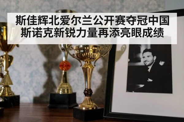 斯佳辉北爱尔兰公开赛夺冠中国斯诺克新锐力量再添亮眼成绩